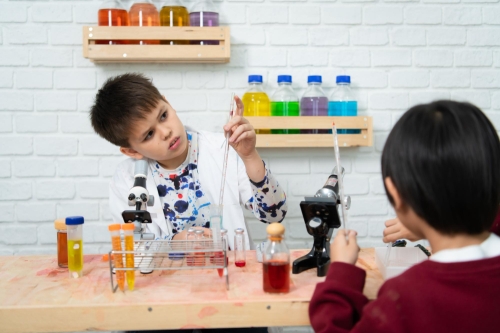 Essential School Lab Kits for Science Education