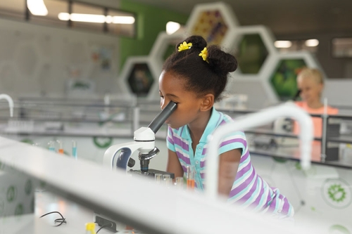 Top Upper Primary Science Kit (UPSK) & Secondary Science Kit (SSK) Manufacturers in India