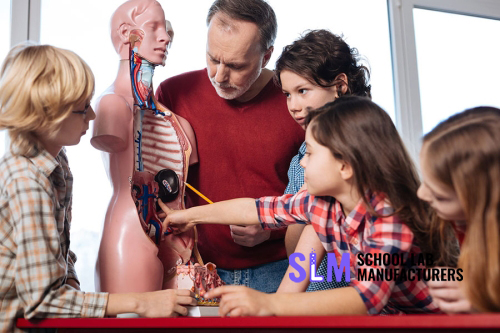 How to Set Up a School Biology Lab — Equipment · Layout · Safety · Curriculum Alignment