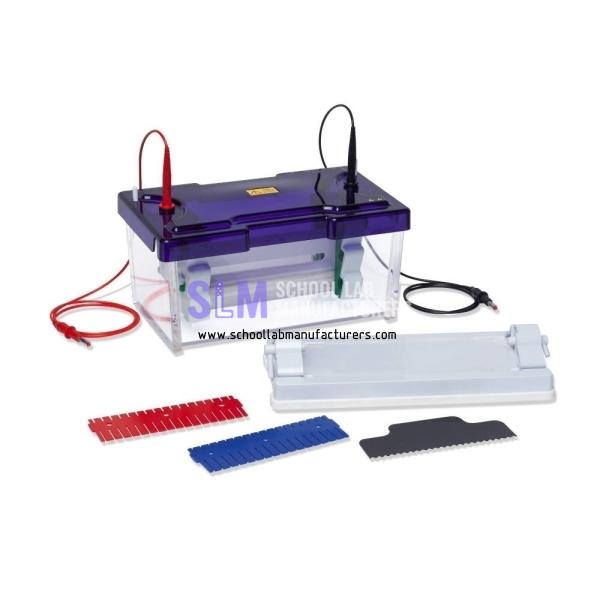 School Lab Double Gel Electrophoresis Apparatus