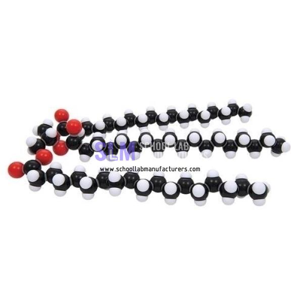 School Lab Fat Glyceryl Tristearate Molecular Model Kit