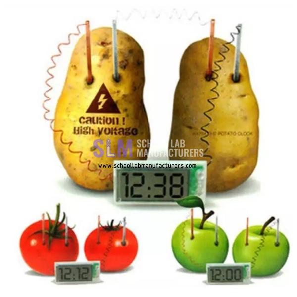 School Lab Fruit Battery Clock