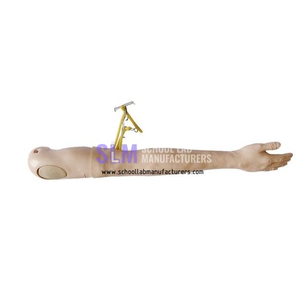 School Lab IV Training Arm Model