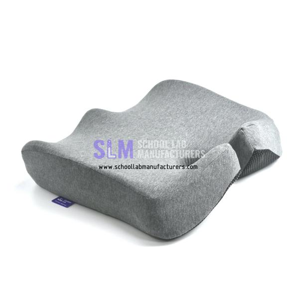 School Lab Cushion