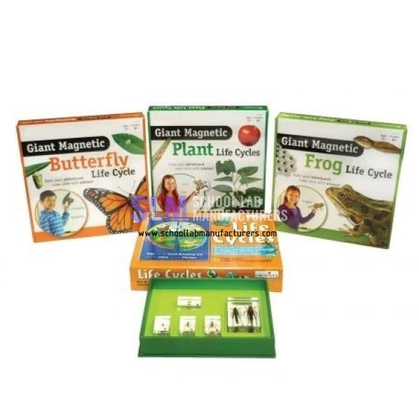 School Lab Life Cycles Kit