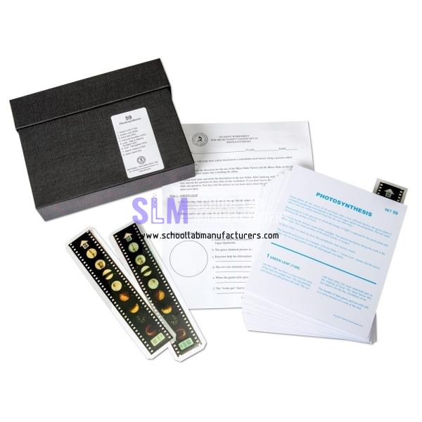 School Lab Microslide Photosynthesis