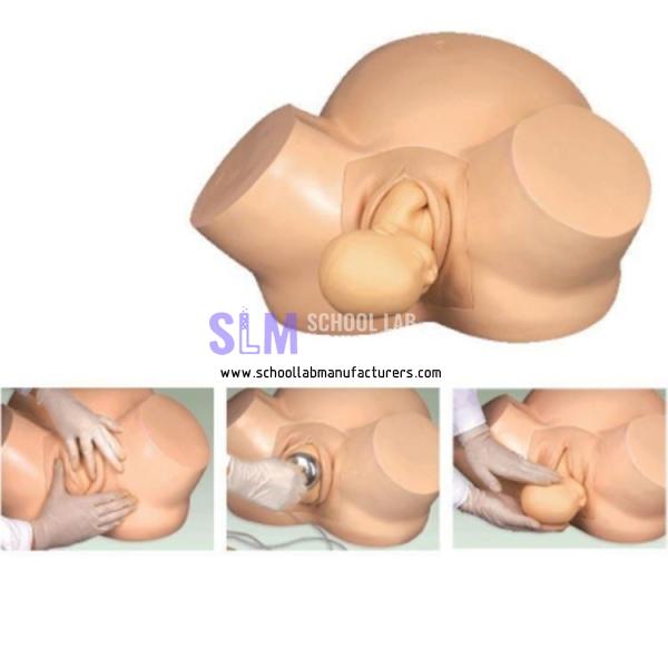 School Lab Midwifery Training Simulator Model