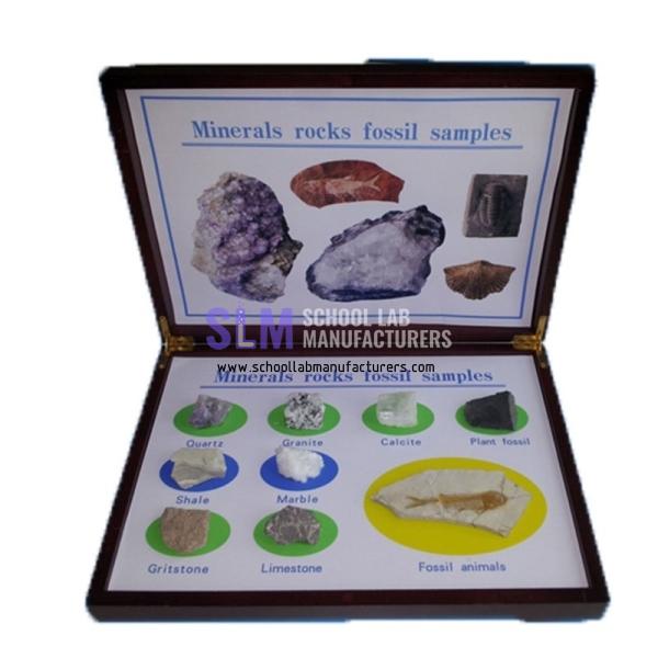 School Lab Minerals Rocks Fossil Samples Specimen