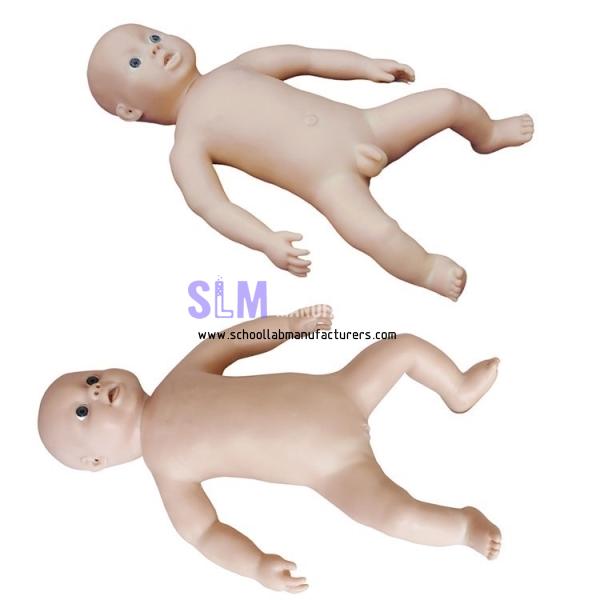 School Lab Newborn Care Model