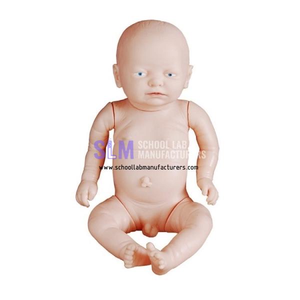 School Lab Newborn Model