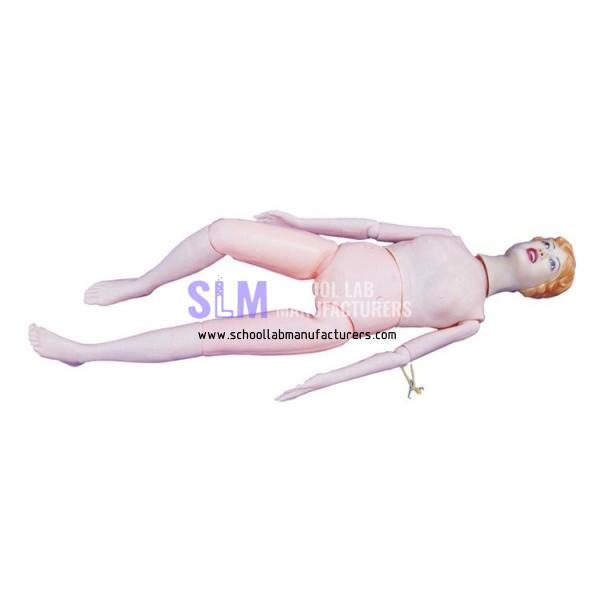 School Lab Patient Care Manikin Model