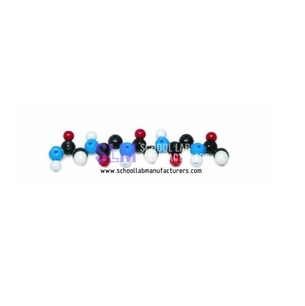 School Lab Polypeptide Molecular Model Kit
