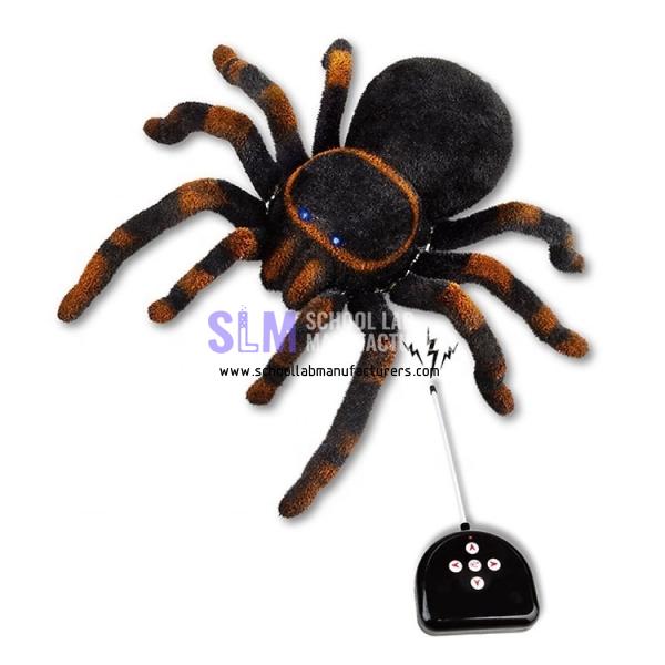 School Lab RC Moving Tarantula Spider