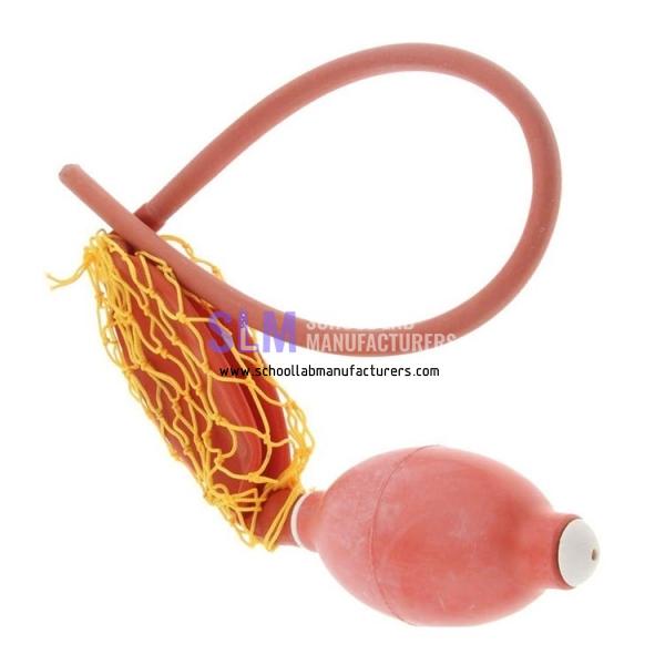 School Lab Rubber Suction Double Bulbs