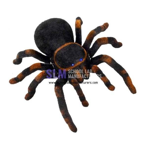 School Lab Remote Control Spider Toy