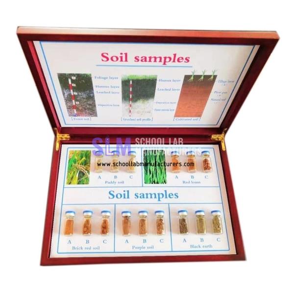 School Lab Soil Samples Specimen