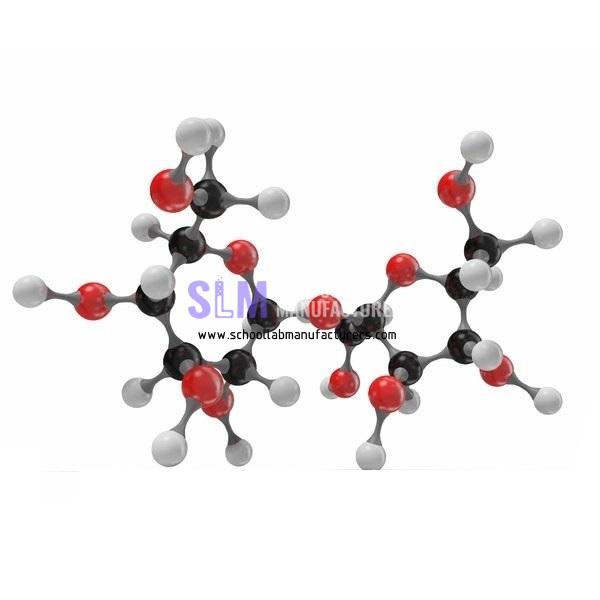 School Lab Sucrose Molecular Model