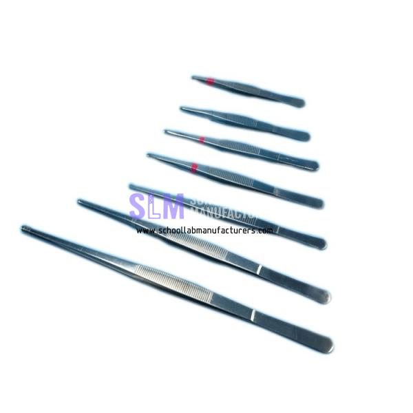 School Lab Surgical Tweezers Forceps